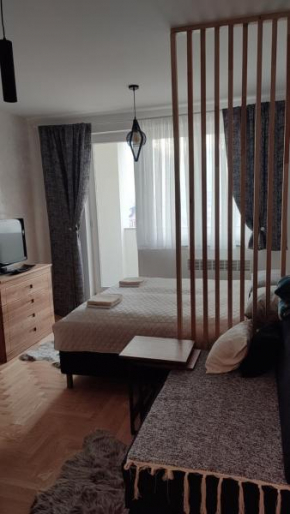 Studio apartman Pale